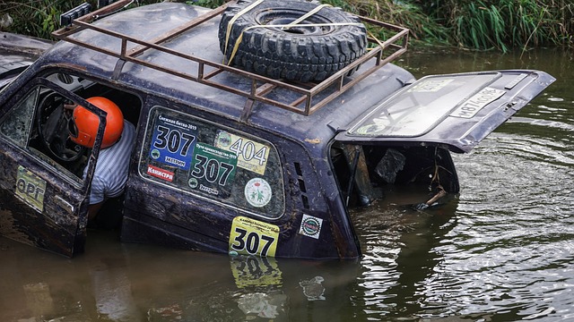 罗克回应转会传闻：我在帕尔梅拉斯很开心，只想留在这里