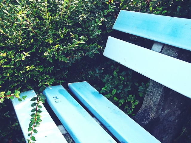 打开了一扇 打开了一扇