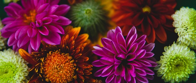 完成逆袭 完成逆袭