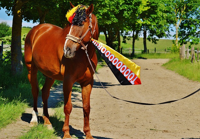 无论场上场 无论场上场