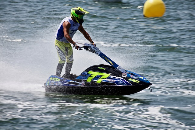 全面发展的 全面发展的