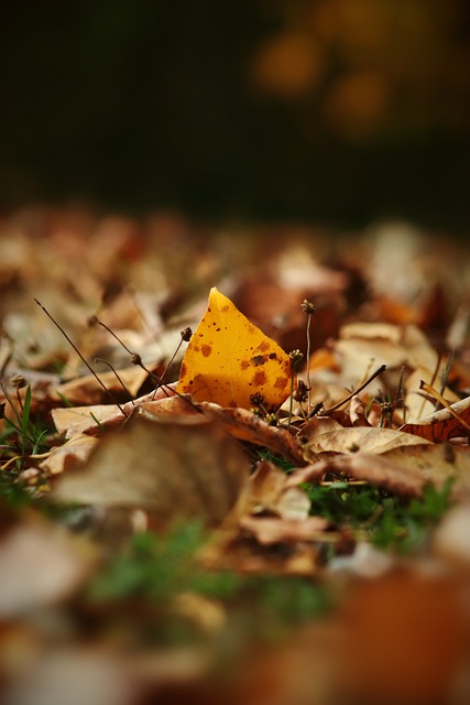 被迫承认罪 被迫承认罪