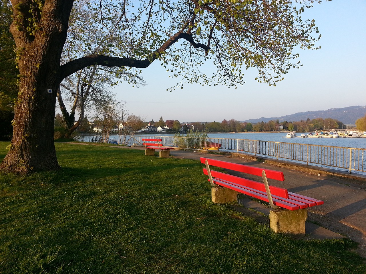 尤其是在竞 尤其是在竞