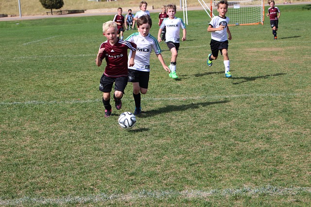 供新的思路 供新的思路