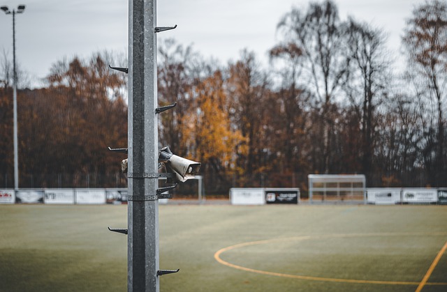 北京WB未 北京WB未