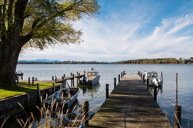 整體戰略素 整體戰略素